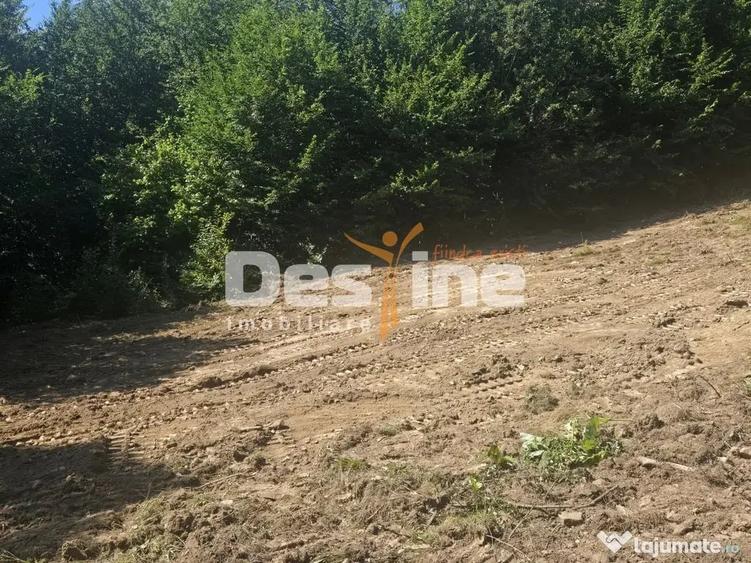 Teren în Teșila