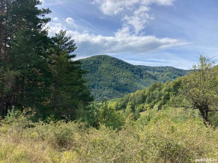Teren de 4420 mp, în Vinețisu