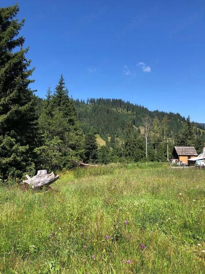 Teren intravilan Gura Haitii, comuna ?aru Dornei, jud. Suceava - la 27 km de Vatra Dornei - 5