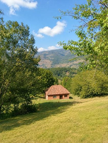 Casă individuală cu 3 camere cu Canalizare în Bulz