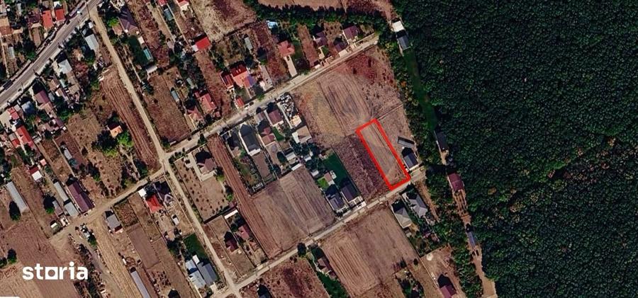 De vanzare Teren intravilan 1000 mp, langa padure, Moara Vlasiei - 7