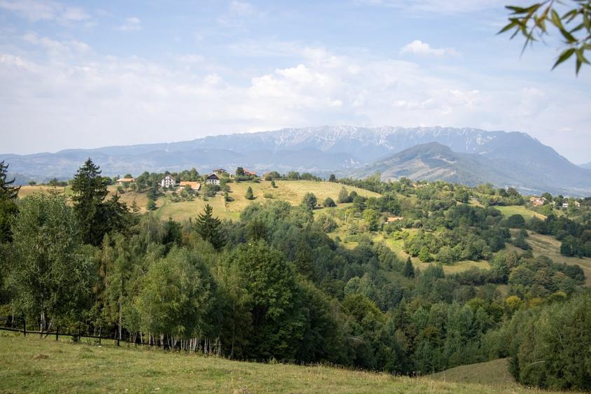 Teren Construcții extravilan de 10131 mp, în Bran