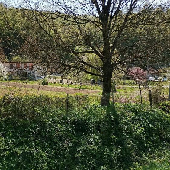 Teren de 745 mp, în Moneasa
