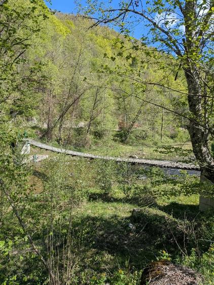 Teren de 4342 mp, în Malaia