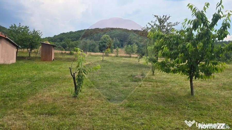 Casă cu 4 camere cu Teren 2000 Mp în Damiș