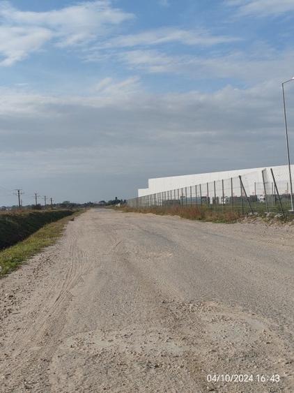 Teren Construcții intravilan de 7700 mp, în Bolintin-Deal
