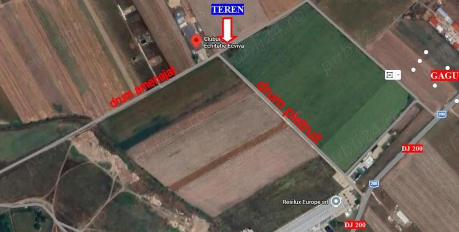 Teren de 10000 mp, în Dascălu