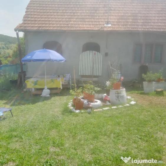 Casă cu 2 camere în Central