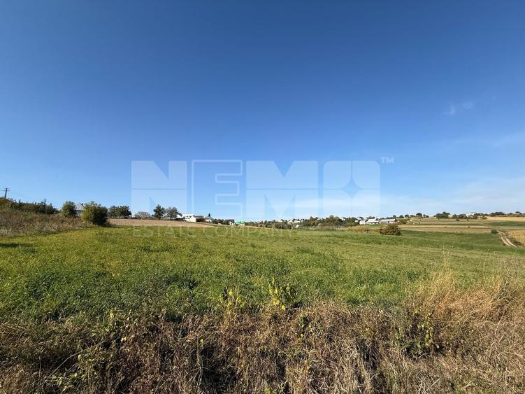 Teren Construcții intravilan de 4000 mp, în Burla