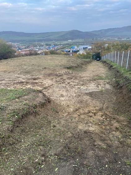 Teren Construcții intravilan de 2700 mp, în Viișoara