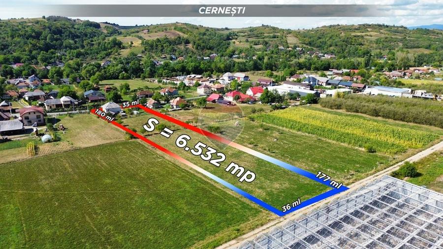 Casă individuală cu 5 camere cu Teren 6532 Mp în Cernești