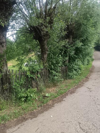 Casă cu 3 camere cu Teren 2722 Mp în Periș