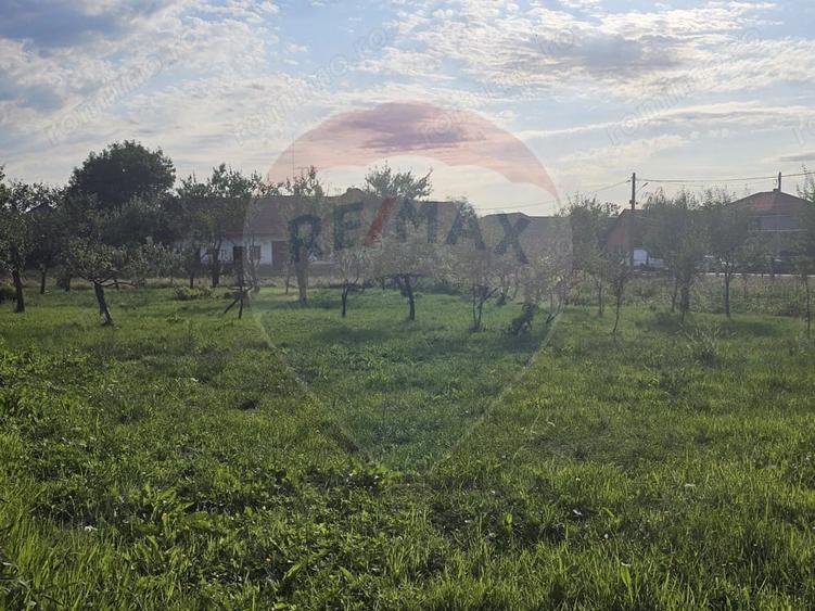Casă cu Teren 1439 Mp în Darova