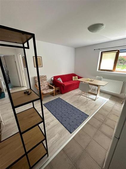 Apartament cu 2 camere semidecomandat, mobilat în Bună Ziua
