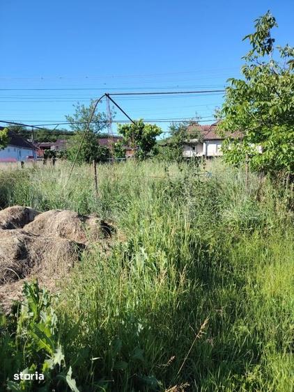 Casă cu 2 camere cu Teren 3750 Mp în Ceanu Mare