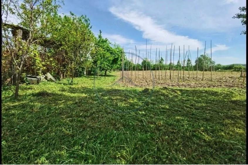 Casă cu 4 camere cu Teren 3500 Mp în Central