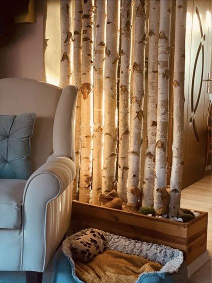 PROPRIETAR VAND APARTAMENT 3 CAMERE 86 MP 2 BAI -SAGULUI - 6