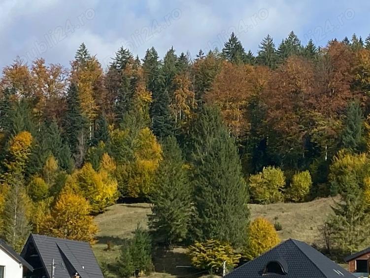 Teren de 4100 mp, în Periferie
