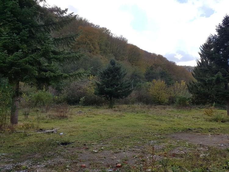 Teren Construcții intravilan de 5755 mp, în Lendt
