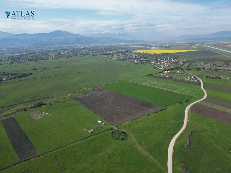 Teren agricol intravilan de 43100 mp, în Stupini