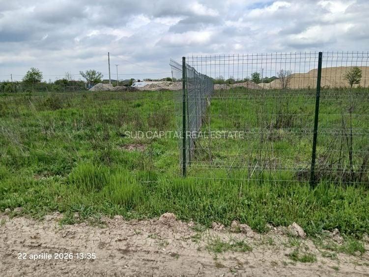 Teren Construcții intravilan de 900 mp, în Cernica