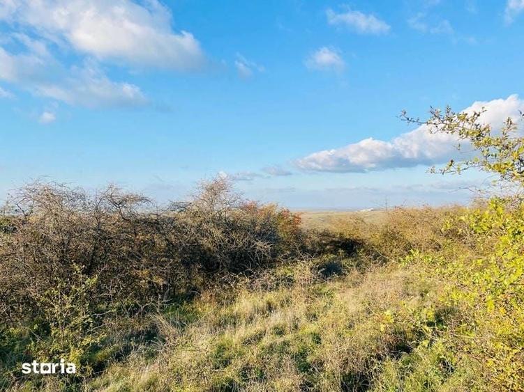 RASOVA Cochirleni Teren extravilan 38 Hectare comasat 100% - 1