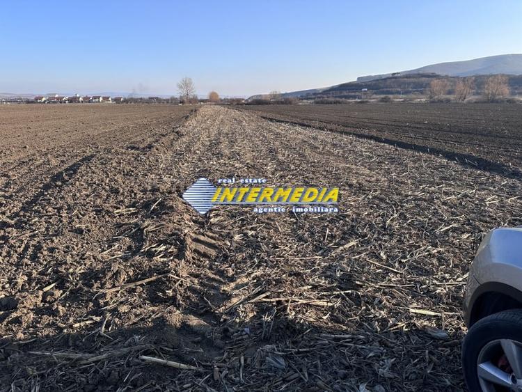 Teren Construcții intravilan de 600 mp, în Șard