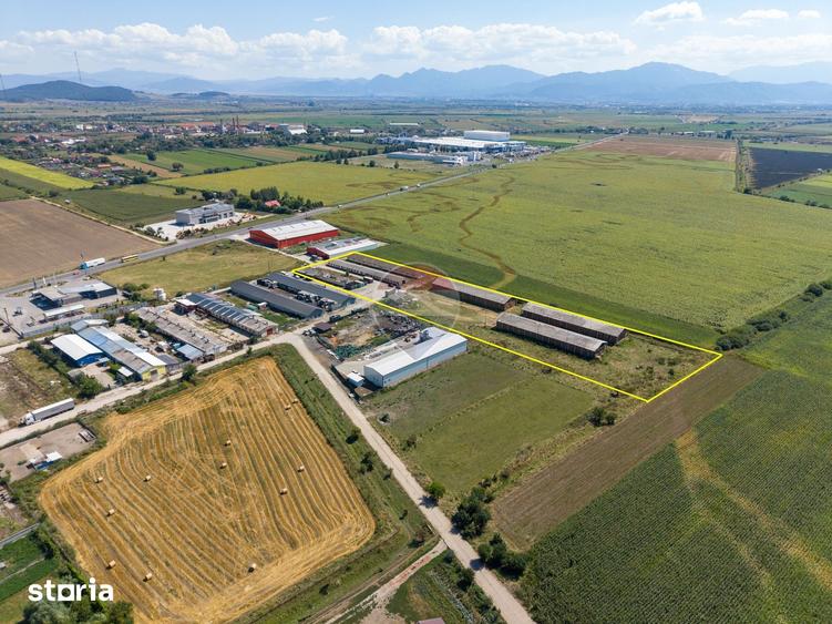 Teren de 17500 mp, în Hălchiu