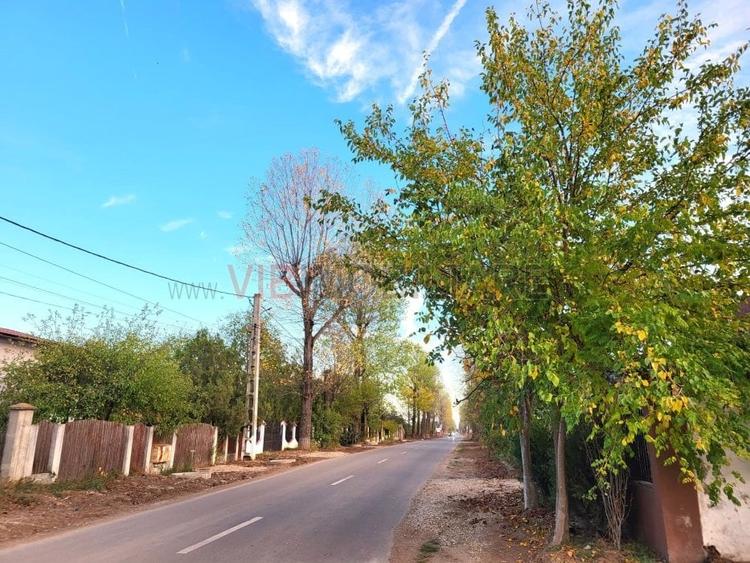 Teren intravilan de 800 mp, în Izvorani