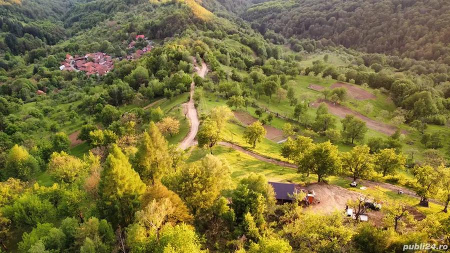 Teren de 2000 mp, în Brusturi