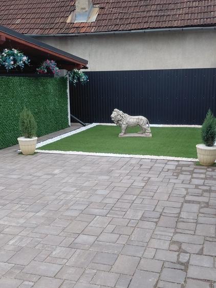 Casă cu 3 camere în Central