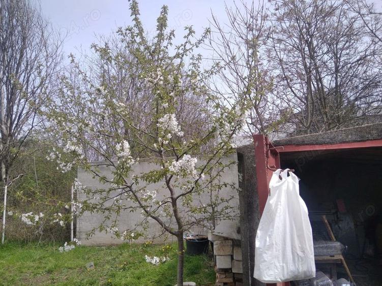 Teren de 500 mp, în Prelungirea Ghencea