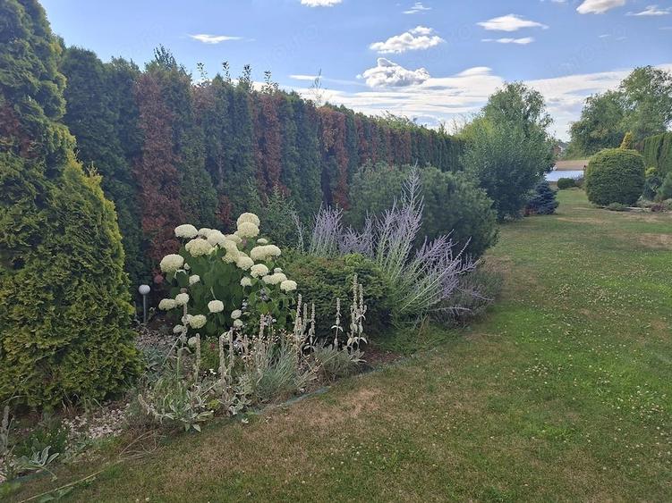 Casă cu 6 camere cu Teren 1750 Mp în Apa