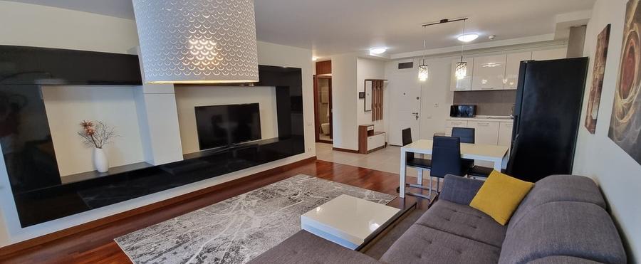 Apartament cu 2 camere semidecomandat, mobilat în Dudești