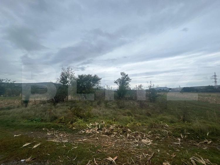 Teren agricol extravilan de 3700 mp, în Nord