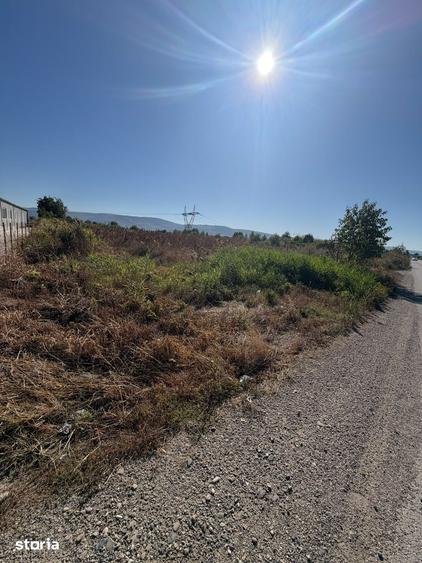 Teren de 7400 mp, în Letea Veche