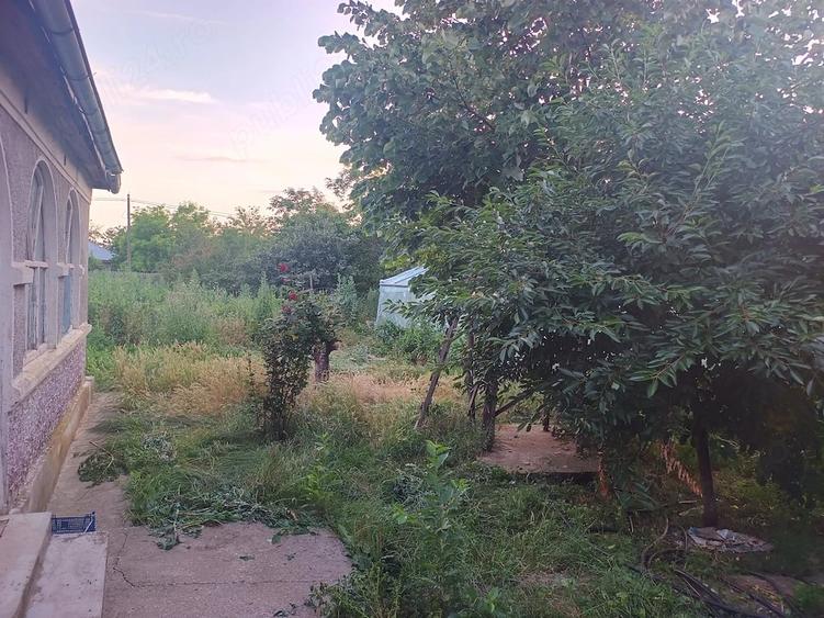 Casă cu 3 camere cu Teren 2500 Mp în Central