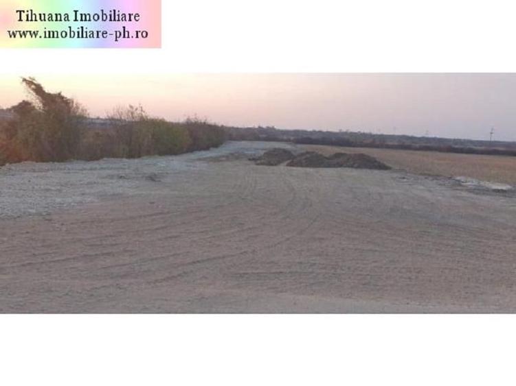 Teren Construcții intravilan de 618 mp, în Bucov