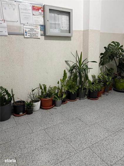 Apartament cu 2 camere decomandat în Militari
