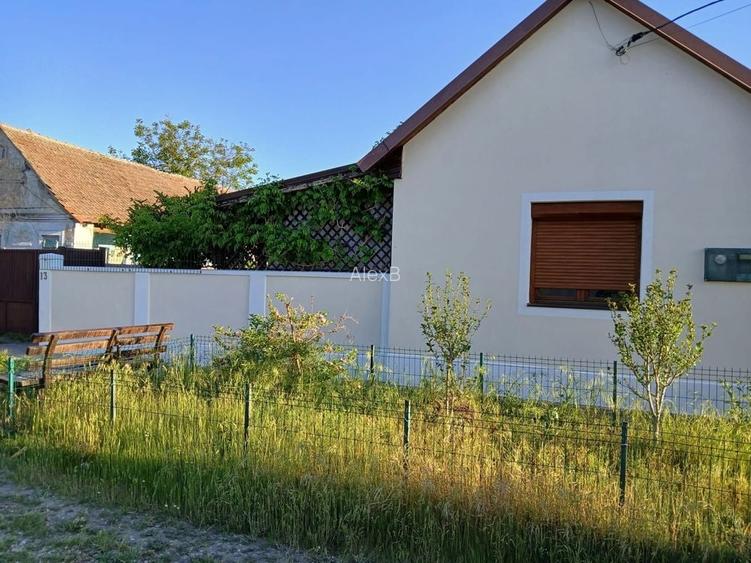 Casa de vanzare cu bucatarie separata (bucatarie de vara) - spatiu generos si confort