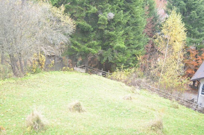 Teren de 1300 mp, în Valea Alba