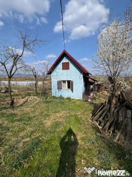 Casă cu 3 camere cu Teren 3300 Mp în Coltău