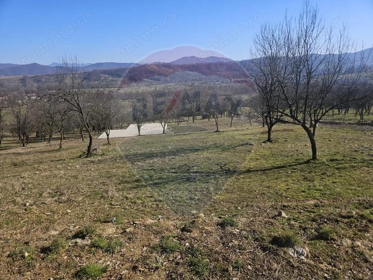 Teren de 4627 mp, în Giulești