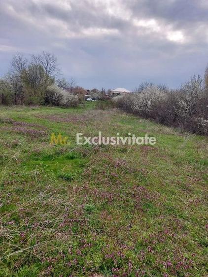 Teren de 3669.61 mp, în Central