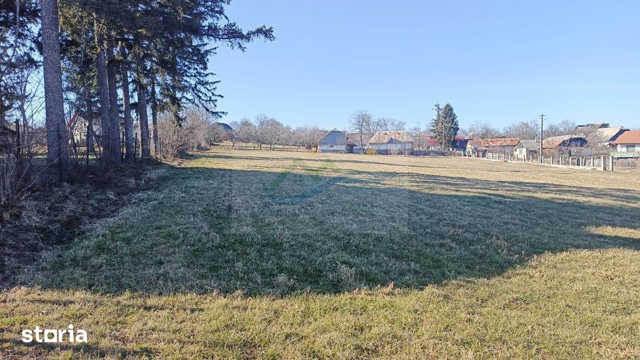Teren de 4700 mp, în Brusturi