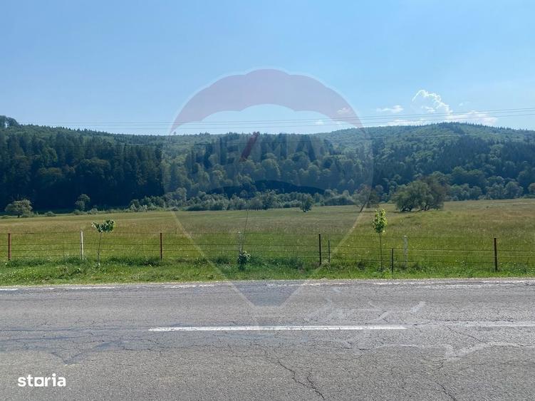 Teren Extravilan 4,306 mp in Vama Buzaului la Strada Principala - 1