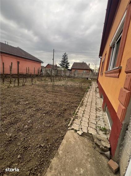Casă cu 3 camere cu Teren 500 Mp în Biharia