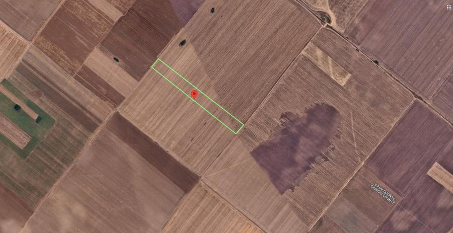 Teren agricol extravilan de 6304 mp, în Berceni