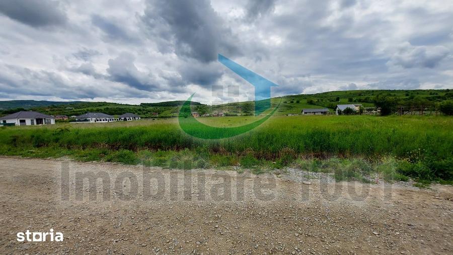 Repozitionare pret oferta: Teren intravilan 6214 mp, Zavoaie, Bistrita - 4