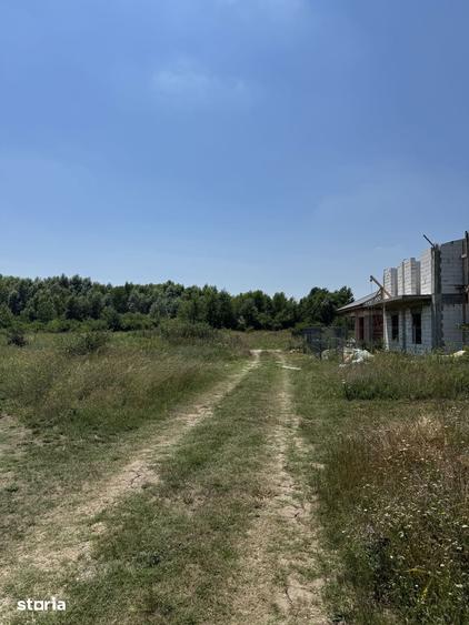 Domnesti - Strada Salciei - Teren intravilan 500 mp x 2 loturi - 3